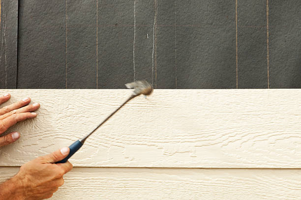 Best Insulated Siding Installation  in Craig, CO